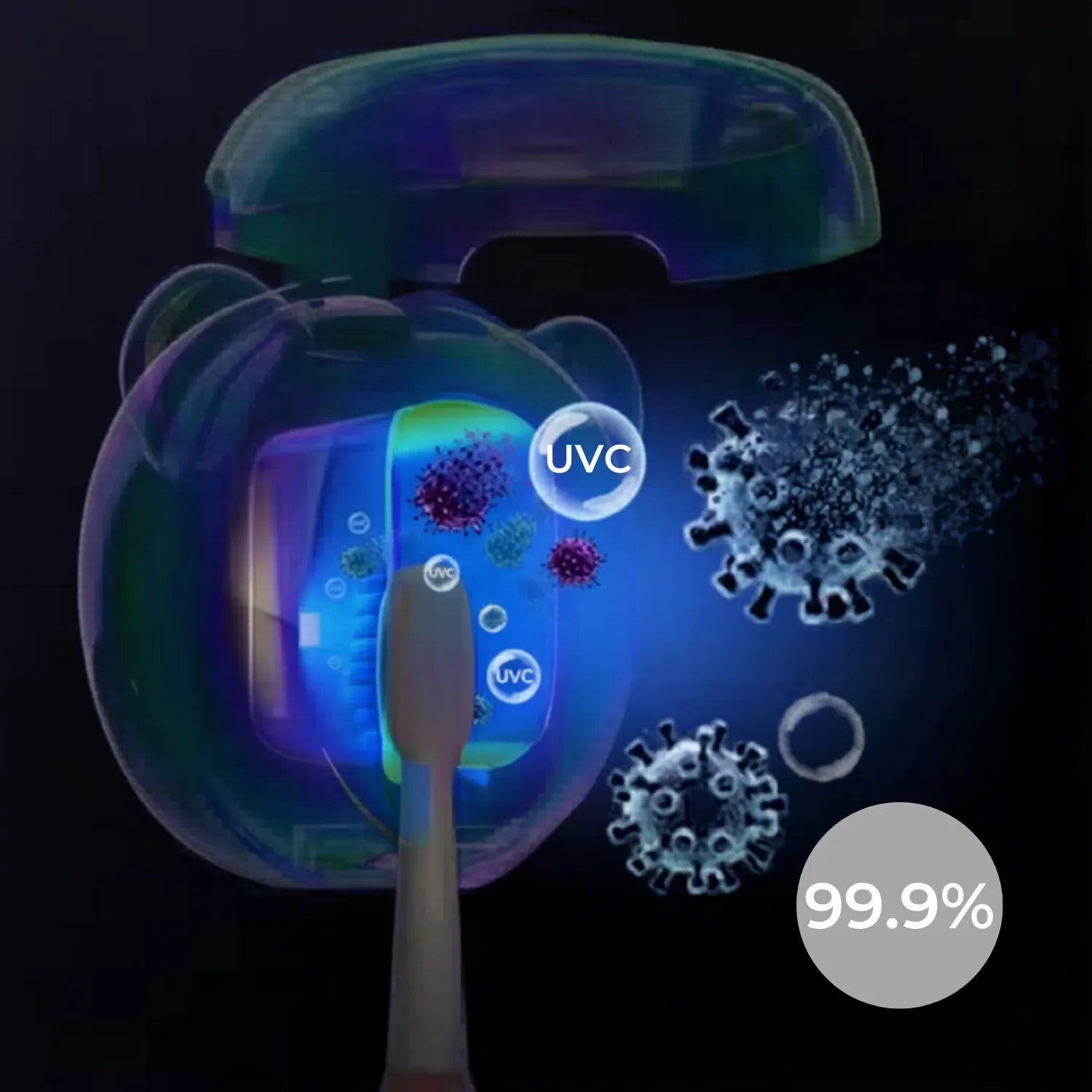 UV Panda Steriliser open chamber showing inside toothbrush cleaning and sanitising compartment for children